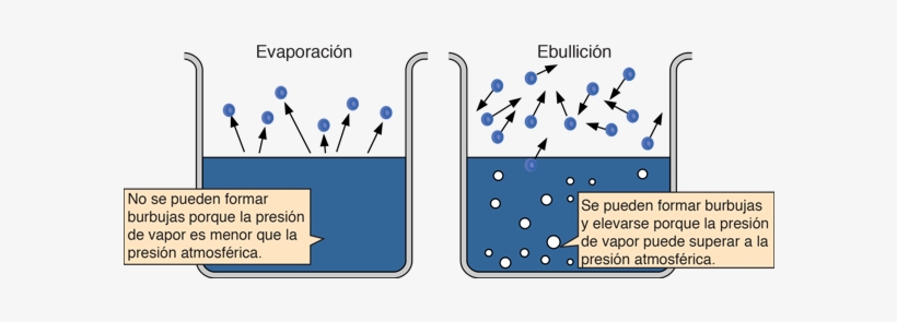 Pero En El Punto De Ebullición, La Presión De Vapor - Boiling And Evaporation, transparent png download