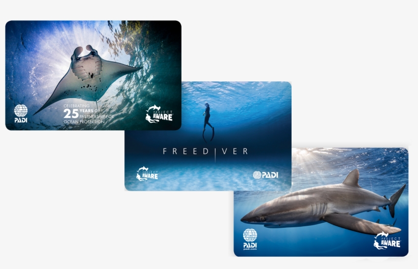 Image Of 2018 Limited Edition Padi Cards Supporting - Great White Shark, transparent png download
