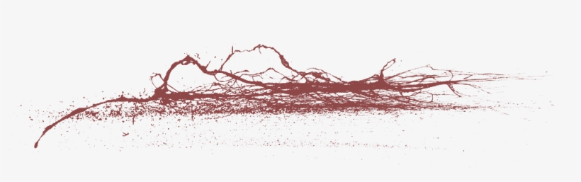 06 Feb 2009 - Tree, transparent png download