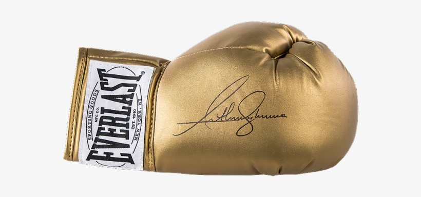 everlast gold boxing gloves