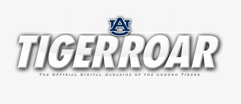 Auburn Tigers, transparent png download