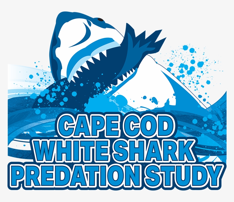 Cape Cod White Shark Predation Study Logo - Poster, transparent png download