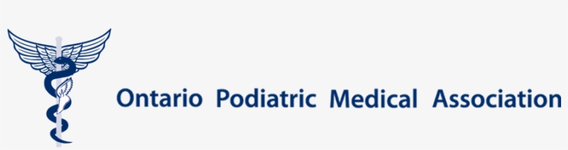 The Abc's Of Good Foot Health For Your Baby And Young - Soccer Ball With Wings, transparent png download