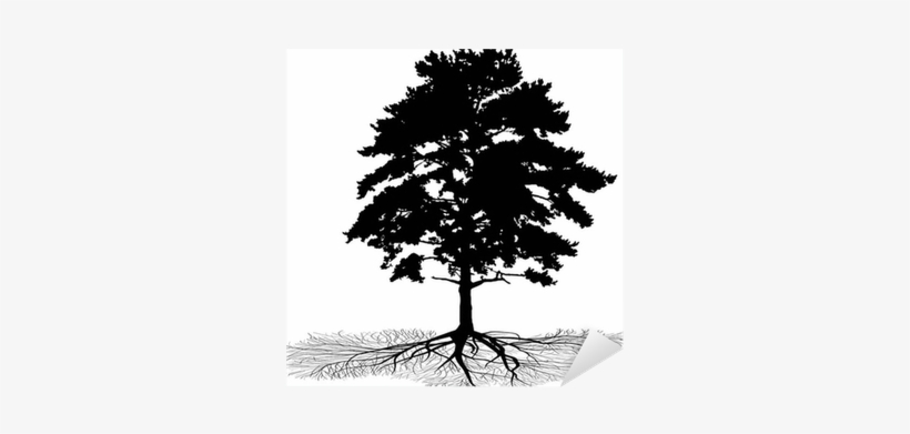 Silhouette, transparent png download