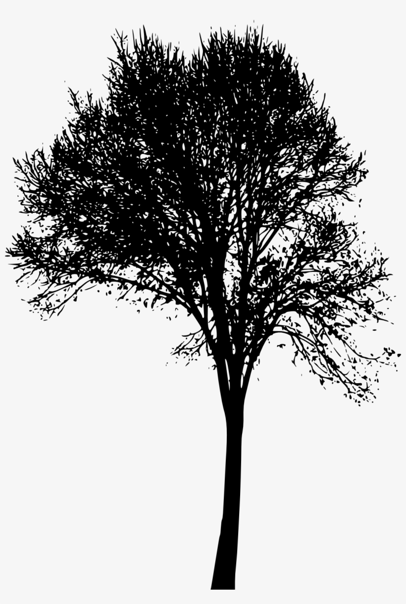 Tree Silhouette Png Roots - Portable Network Graphics, transparent png download