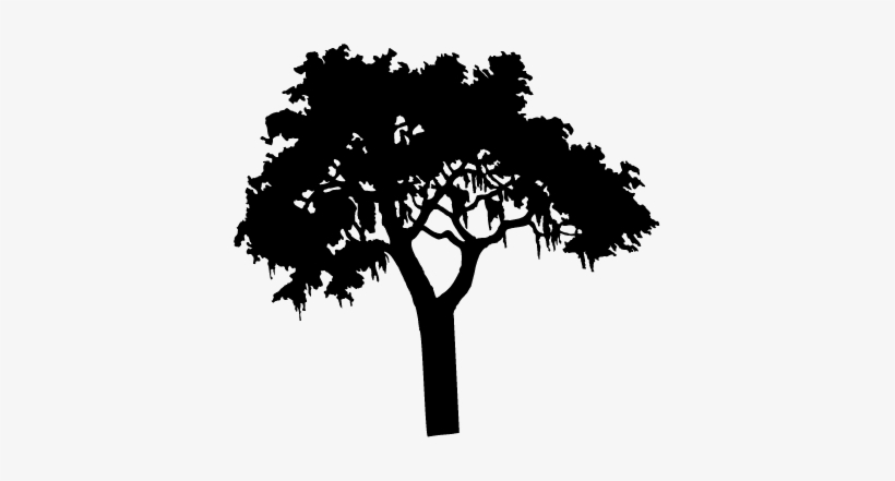 Tree Silhouette Png Roots Designs For Silhouette Cameo - Centre Social D Orzy, transparent png download