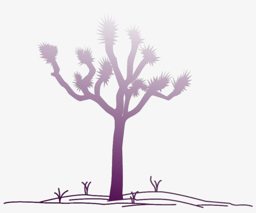 Not For Profit Provider - Highland Village Of Elko, transparent png download