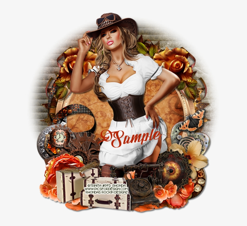 Steampunk Cowboy - Ptu - Voyager Set Of 3 Antique Style Suitcases, transparent png download