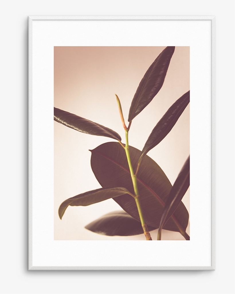 Twig, transparent png download