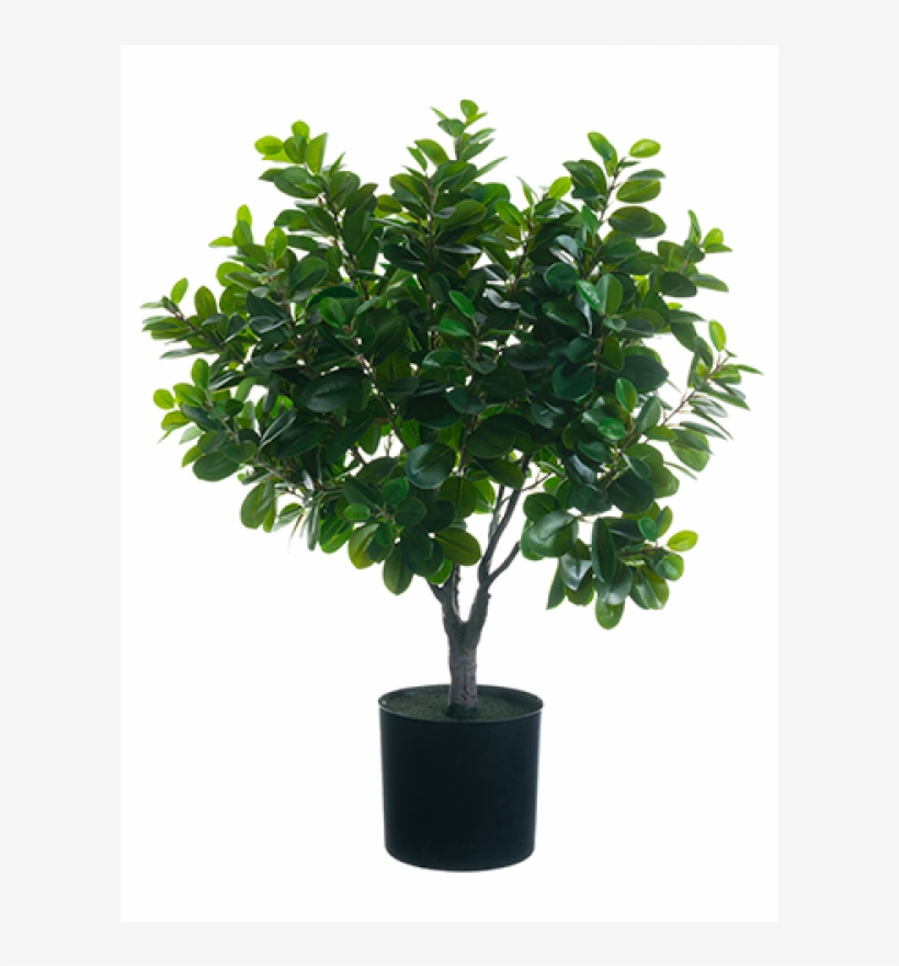 34" East Ficus Ball Topiary In Pot Green - Silk Plants Direct Ficus Ball Topiary - Green - Pack, transparent png download