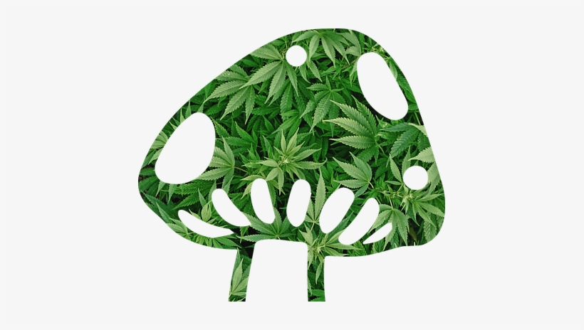 Magic Mushroom - Cafepress Marijuana Plant Potholder, transparent png download