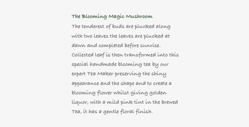 The Blooming Magic Mushroom The Tenderest Of Buds Are - Quotes, transparent png download
