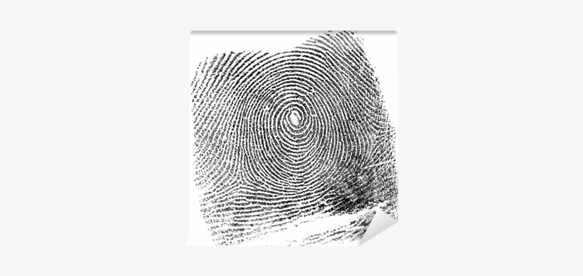 Fingerprint, transparent png download
