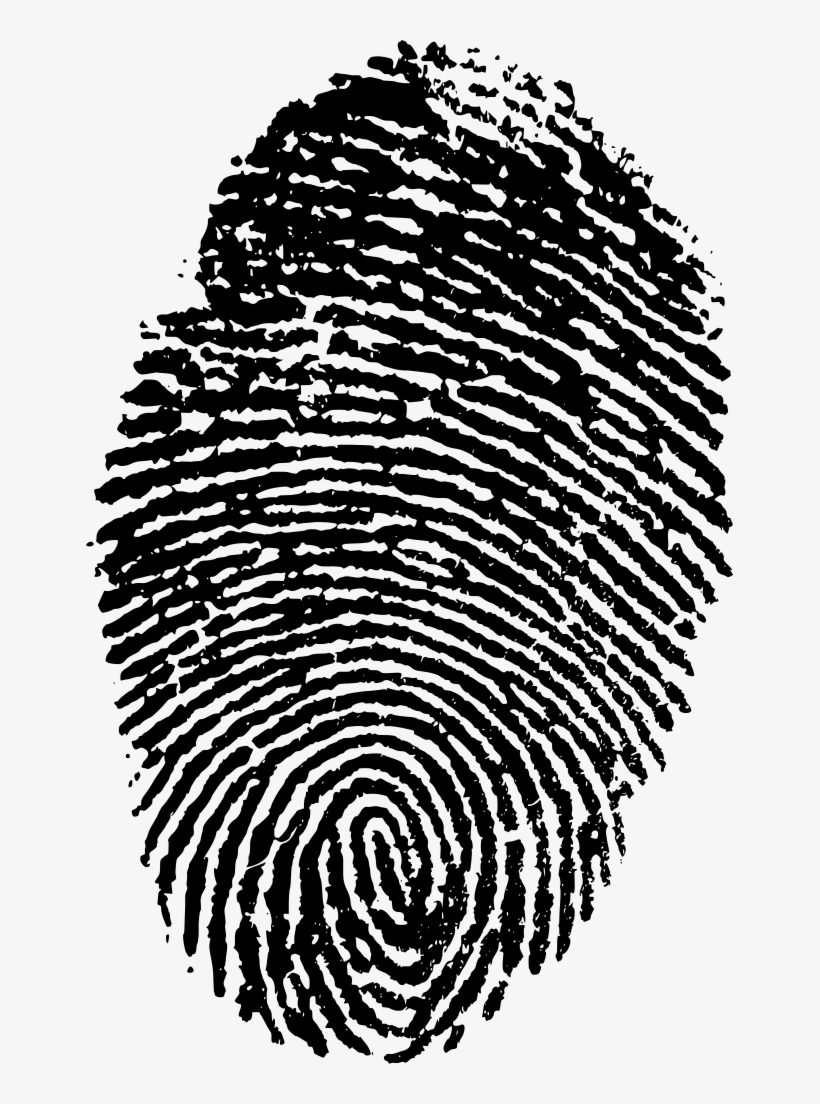 Download Png - Vector Huella Dactilar Png, transparent png download