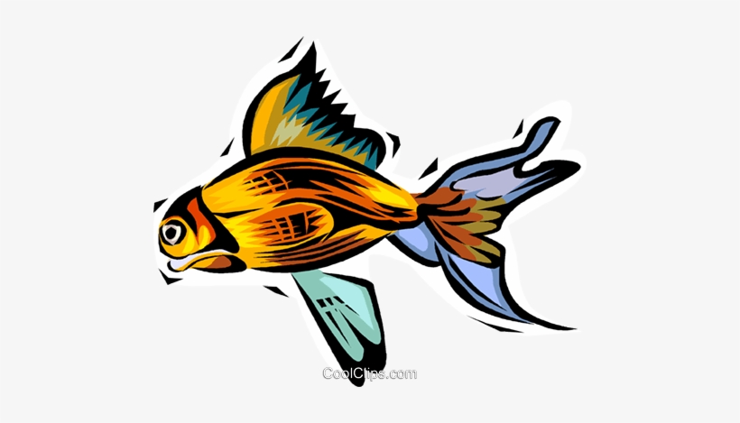 Pez Dorado Libres De Derechos Ilustraciones De Vectores - Illustration, transparent png download