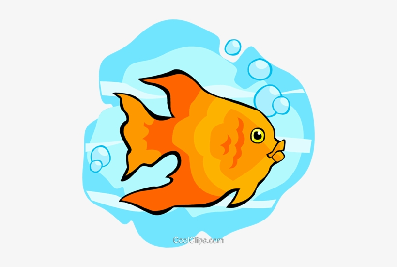 Pez Dorado Libres De Derechos Ilustraciones De Vectores - Clip Art, transparent png download