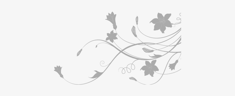 Resumos De Matéria De Comissário De Bordo, Fotos Para - Raminho Com Fundo Transparente, transparent png download