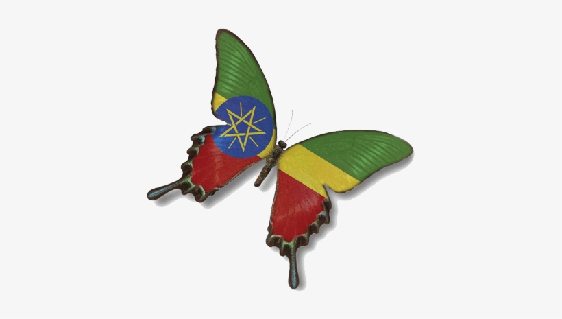 Ethiopia - Bangladesh Flag Butterfly, transparent png download