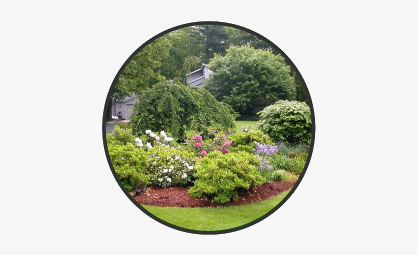 Book And Appointment - Most Beautiful Plant Landscape, transparent png download