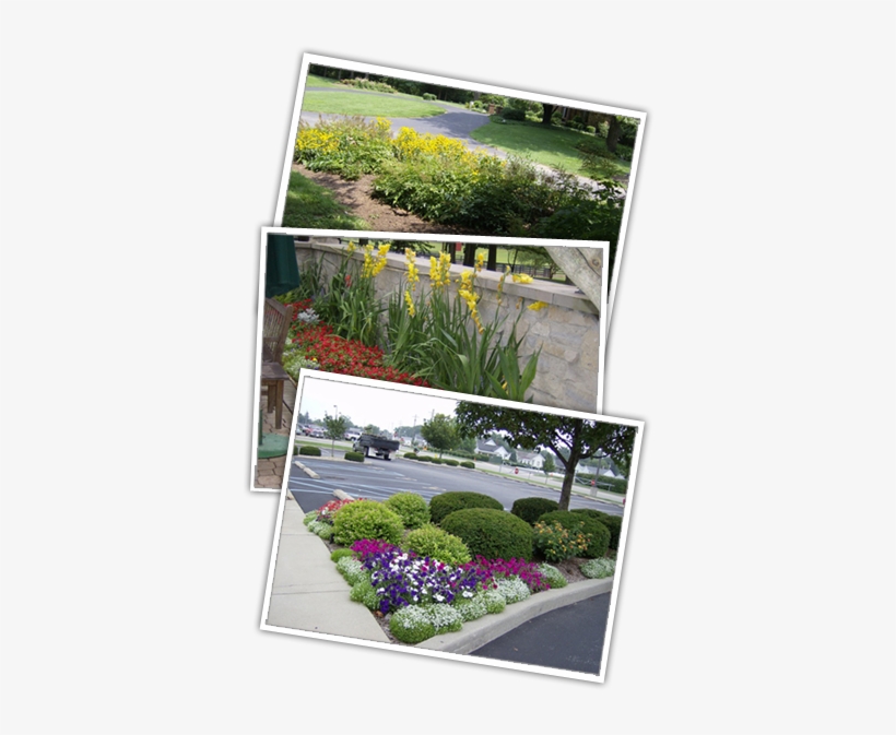 Finely Crafted Landscaping Reveals Your Property's - Yard, transparent png download