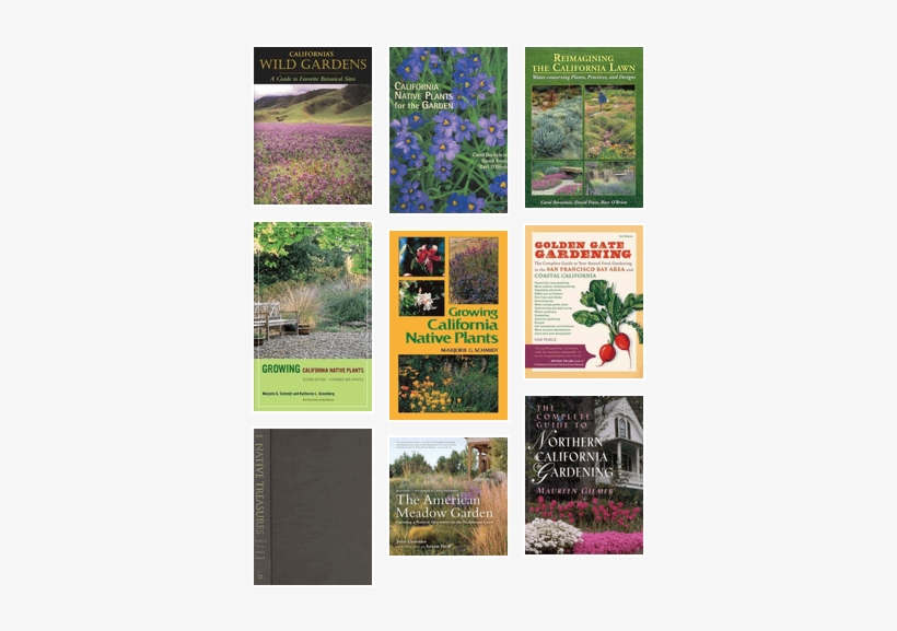 Northern California Gardening - Reimagining The California Lawnwater-conserving Plants, transparent png download