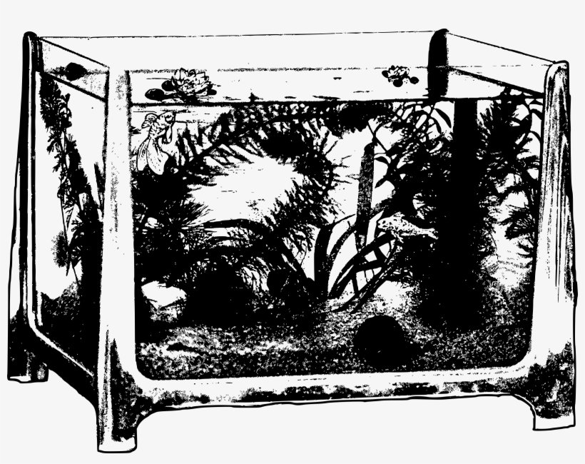 Flatbed Towing - Alelo Dominante Y Recesivo, transparent png download