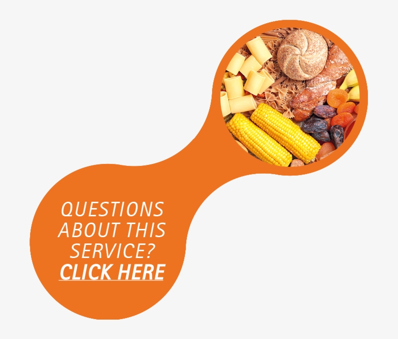 We Also Provide Training Courses And Scientific Support - Nutricion Y Natacion: Guia De Alimentacion Y Suplementacion, transparent png download