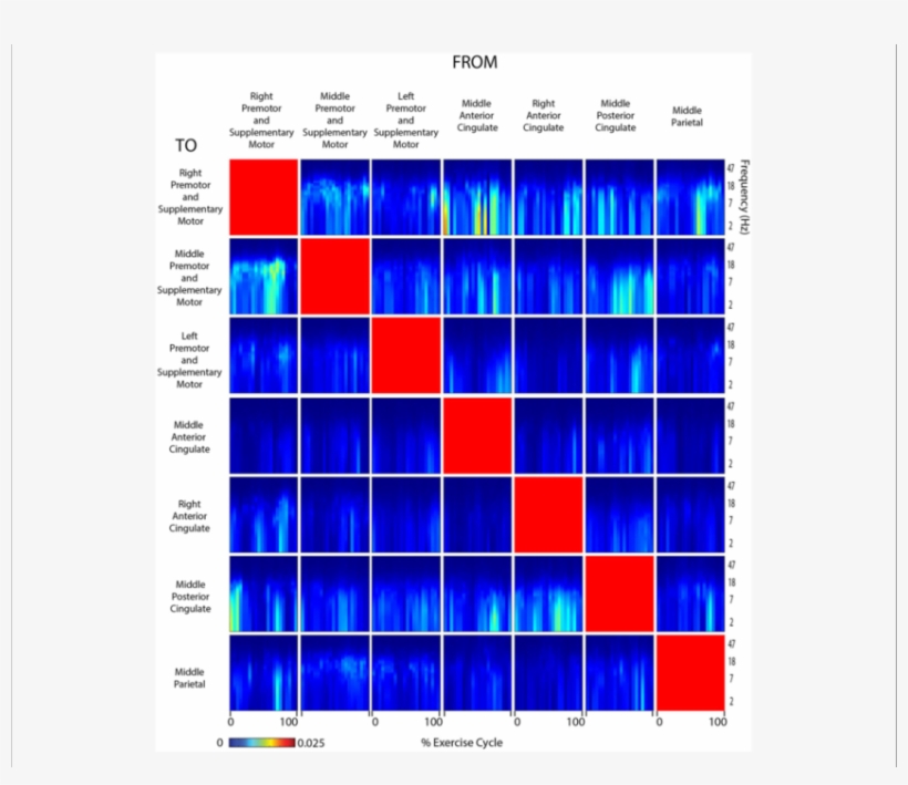 Connectivity Active Arms - .org, transparent png download
