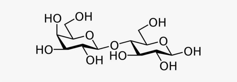 Carbohydrates - N Acetyllactosamine, transparent png download