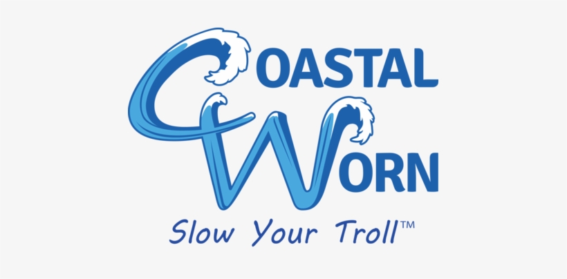 Saltwater Fish State Flag Clothing - Estad, transparent png download