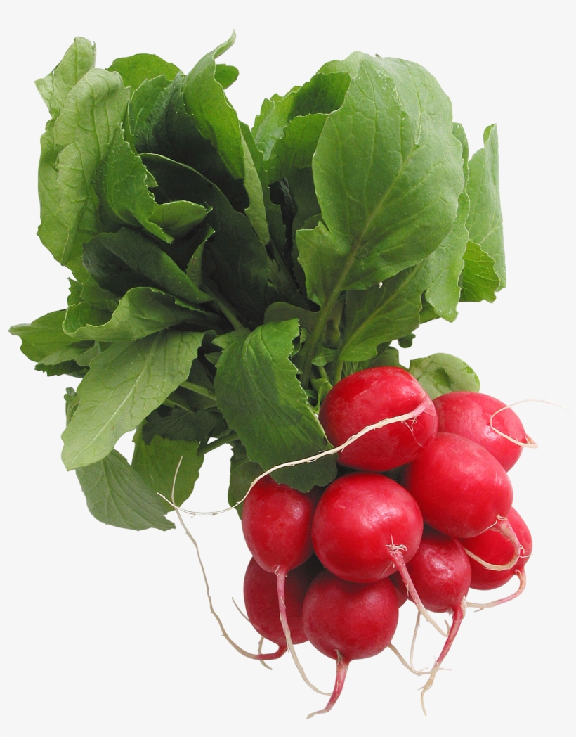 Radish Png - Smart Blonde C-617 12 X 12 Elty Metal Circular Sign, transparent png download