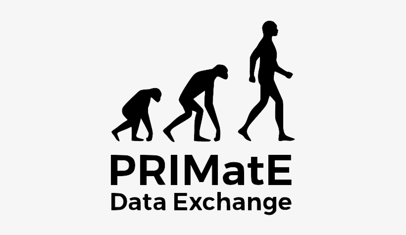 Stem Cell And Brain Research Institute - Illustration, transparent png download