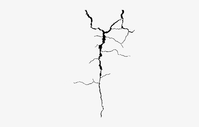 Cracked Texture Png Download - Crack Line Png Transparent PNG Image ...