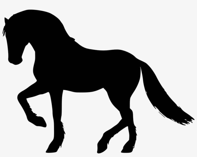 Silhouette, Horse, Gallop, Equestrian, Animal, Omnivore - Horse, transparent png download