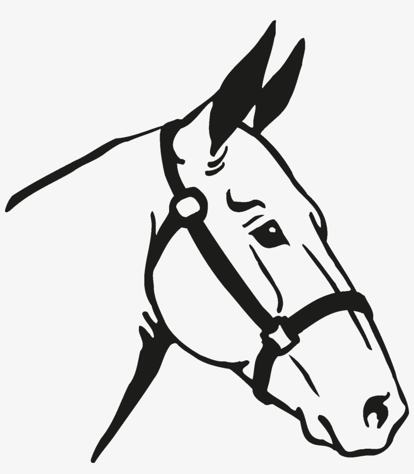 Horse Vector, transparent png download
