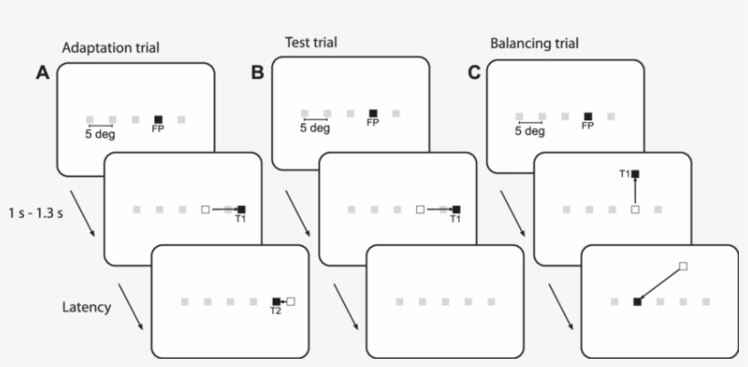 Gray Squares Show All 5 Possible Initial Eye Positions - Trial, transparent png download