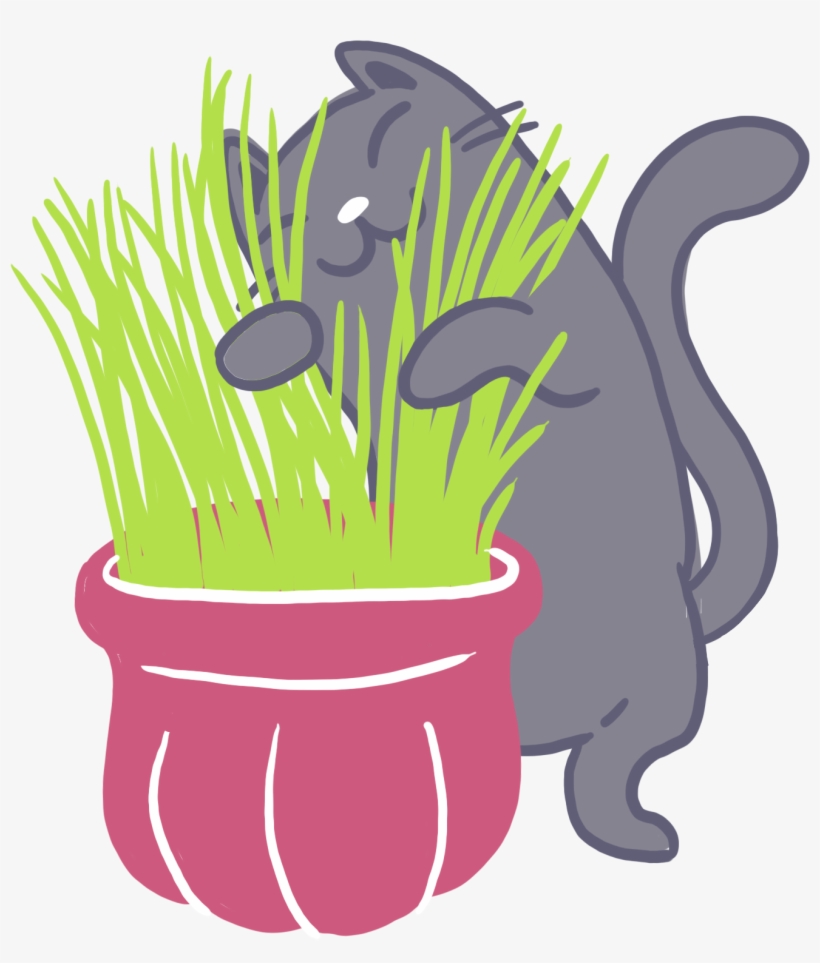 Recuerda Eso Sí, Consultar Siempre Con Tu Veterinario, transparent png download