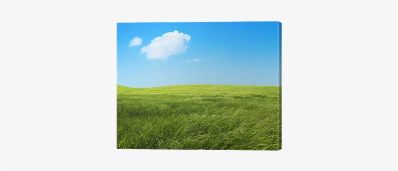 Paisaje De Campos De Hierba Verde - Painting, transparent png download