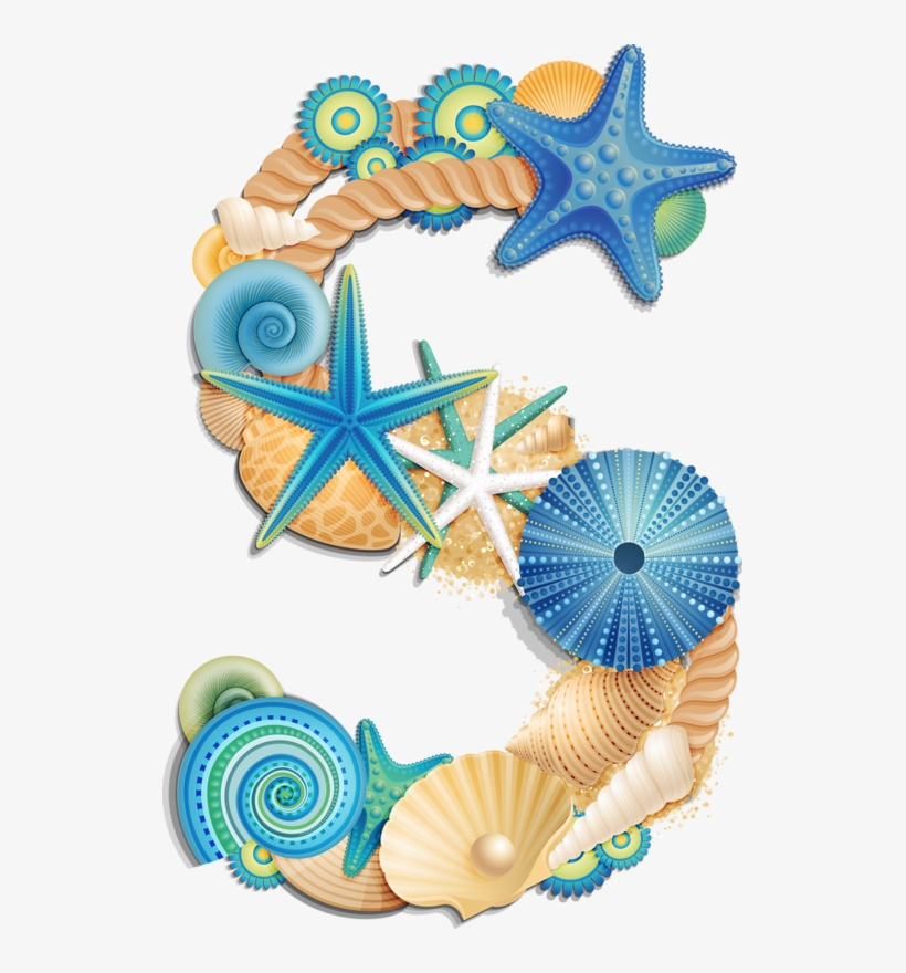 Фото, Автор Arana На Яндекс - Alphabet Sea Shells, transparent png download
