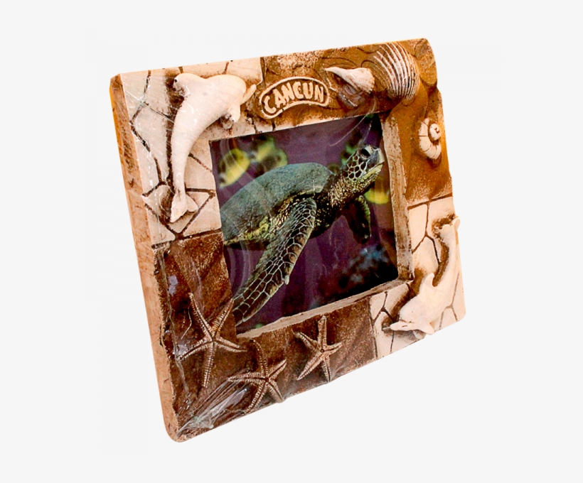 More Views - Coin Purse, transparent png download