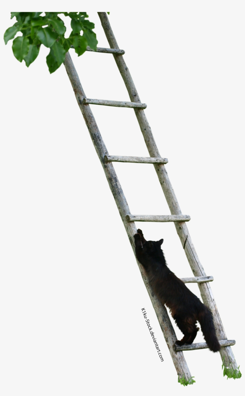 Black Cat Climbing A Ladder By K1ku-stock - Climbing A Ladder Png, transparent png download