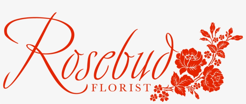 Faith And Reason: Their Roles In Religious, transparent png download