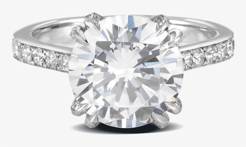 Ring Rose Bud Platinum Diamonds Solitaire Steven Kirsch, transparent png download