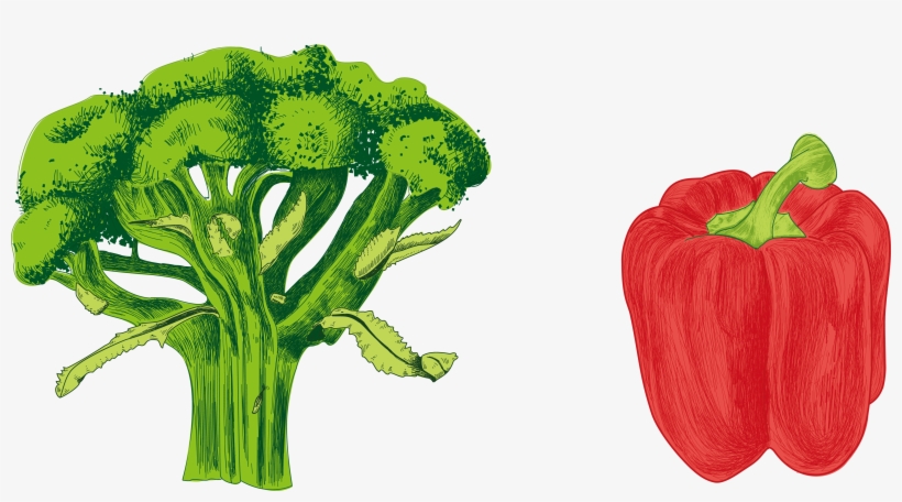 Chili Pepper Bell Cayenne - Watercolor Vegetables Png, transparent png download