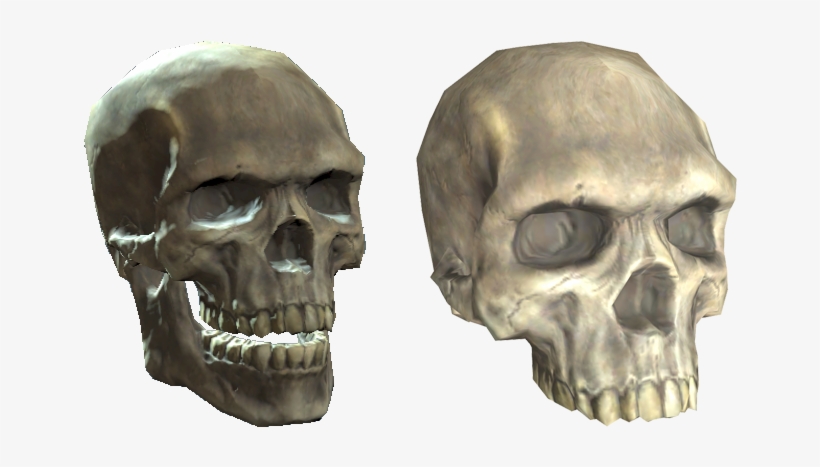 Plastic Skull - Fallout Skull, transparent png download