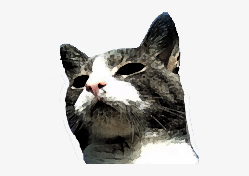 Devon Rex, transparent png download