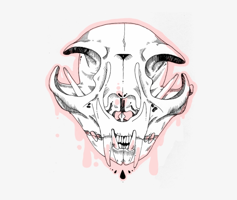 Spacer For Cc - Cat Skull Transparent, transparent png download