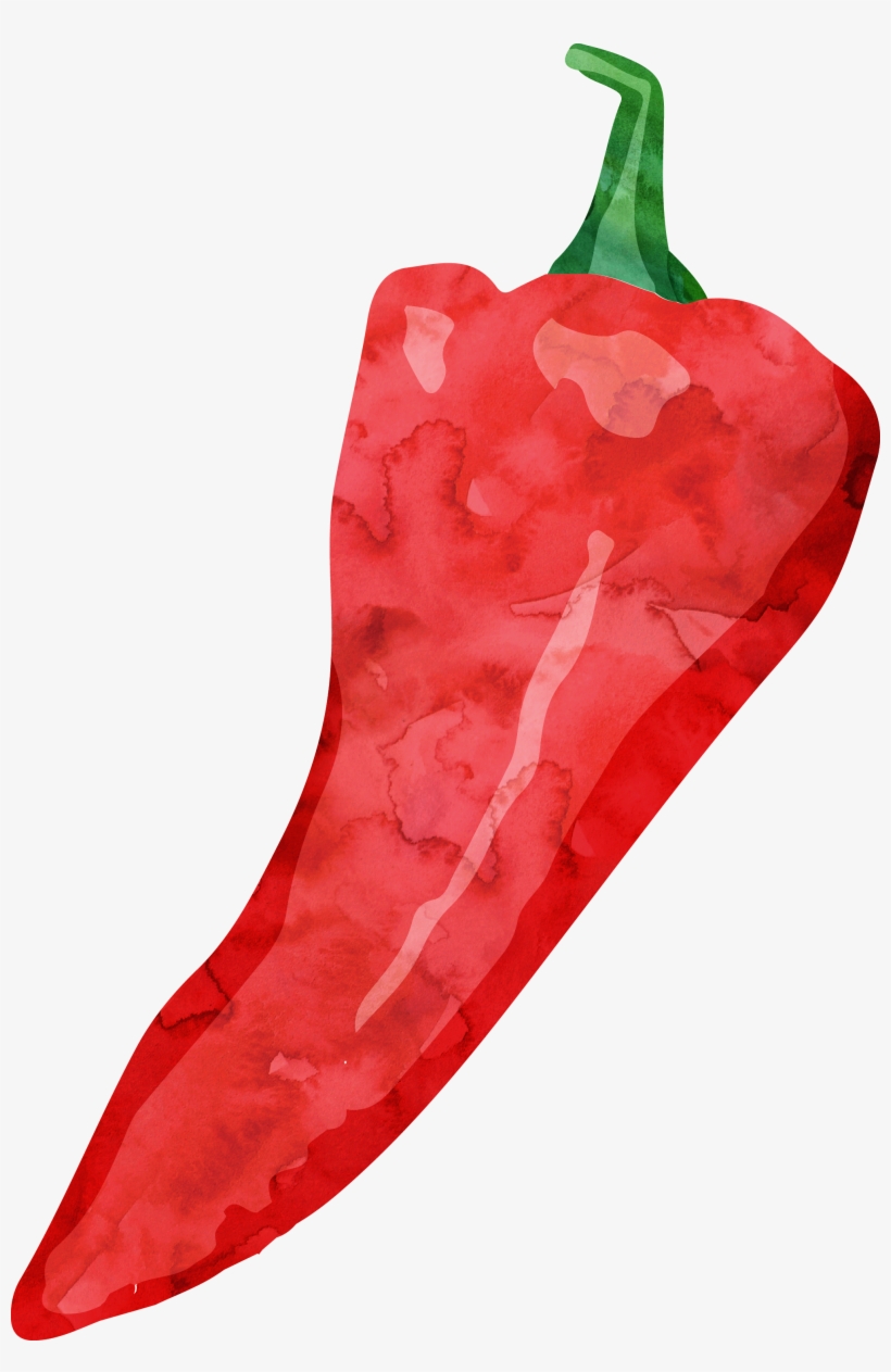 Png Royalty Free Stock Tabasco Pepper Cayenne Watercolor - Watercolor Cut Jalapeno, transparent png download