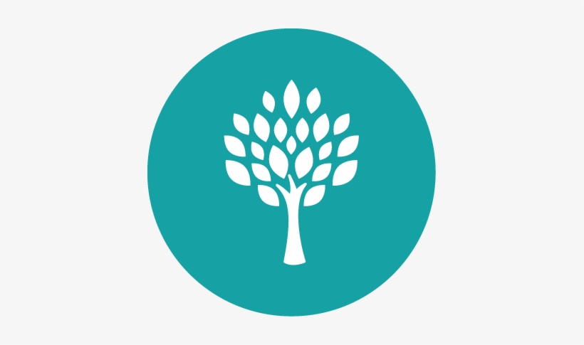 Tree Icon - Woodlands Christian Centre, transparent png download