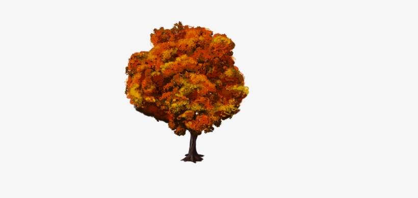 Marketplace Red Fall Beech Tree-icon - Twitter, transparent png download